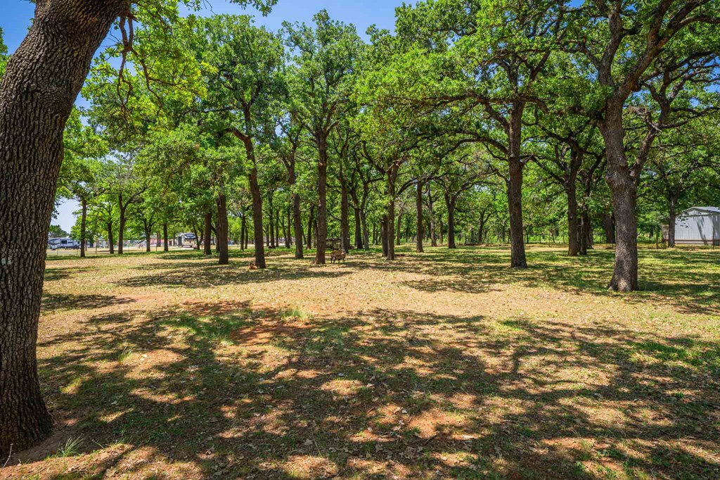 221 Pyka Rd Property Photo 27