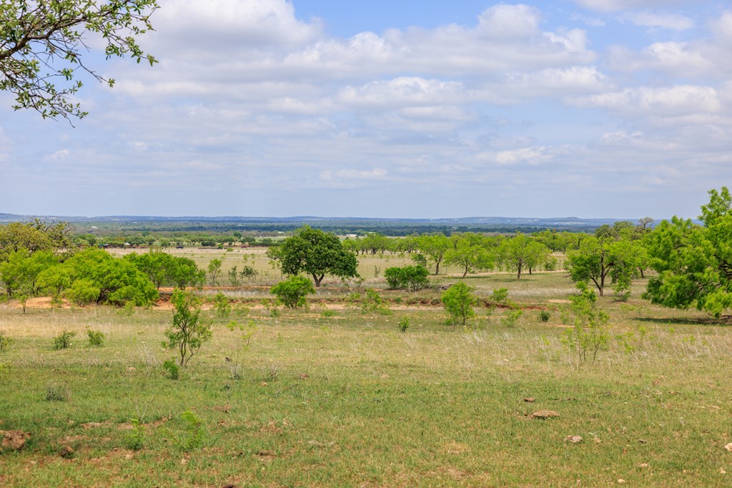 Tbd E Us Hwy 290 Property Photo 7