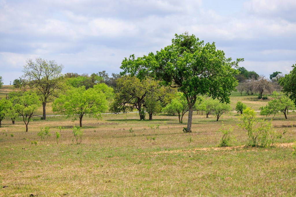 Tbd E Us Hwy 290 Property Photo 13