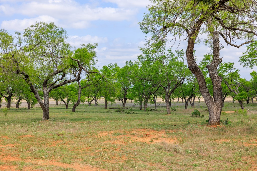 Tbd E Us Hwy 290 Property Photo 14