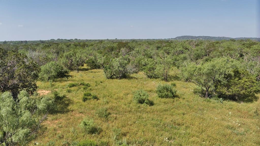 24715 N Us Hwy 377 Property Photo 3
