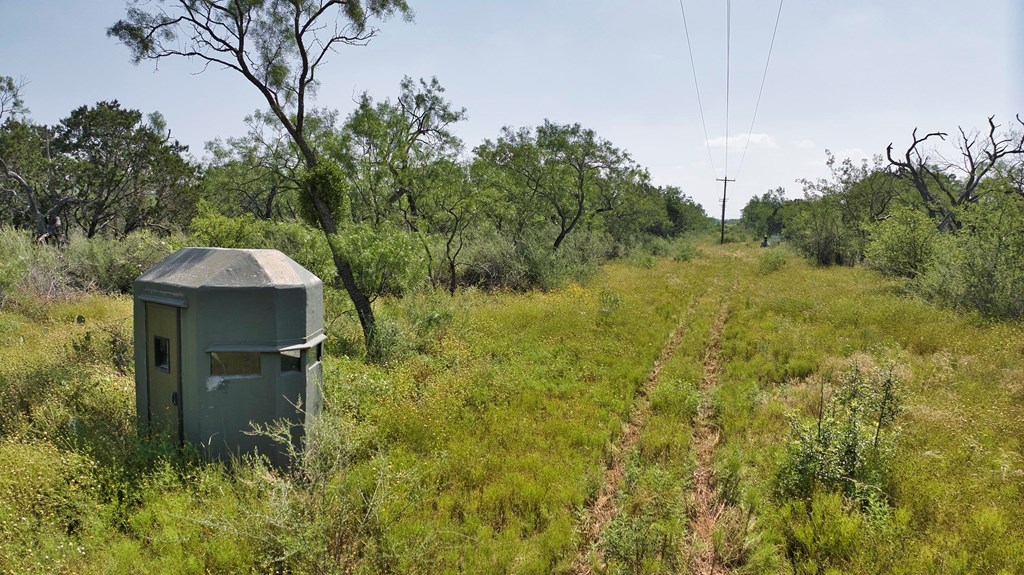 24715 N Us Hwy 377 Property Photo 4