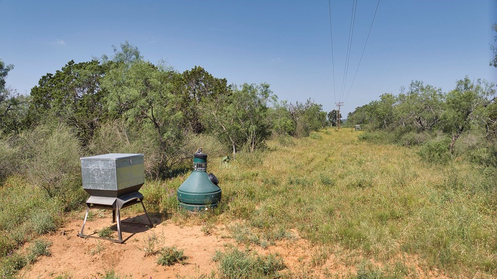 24715 N Us Hwy 377 Property Photo 6