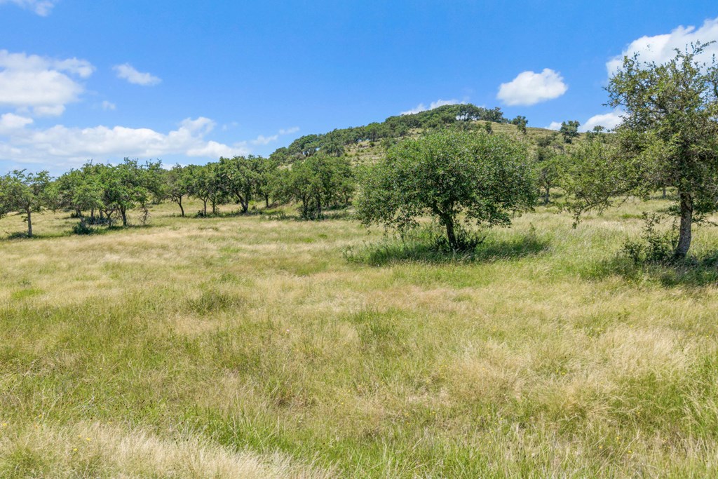 Tbd Kendalia Rd Property Photo 3