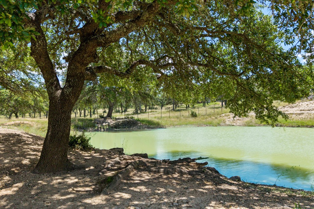 Tbd Kendalia Rd Property Photo 4