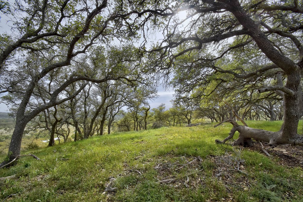 Tbd Kendalia Rd Property Photo 9