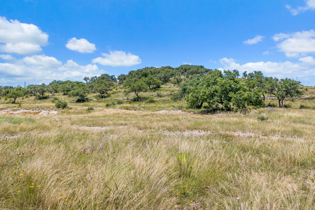 Tbd Kendalia Rd Property Photo 11