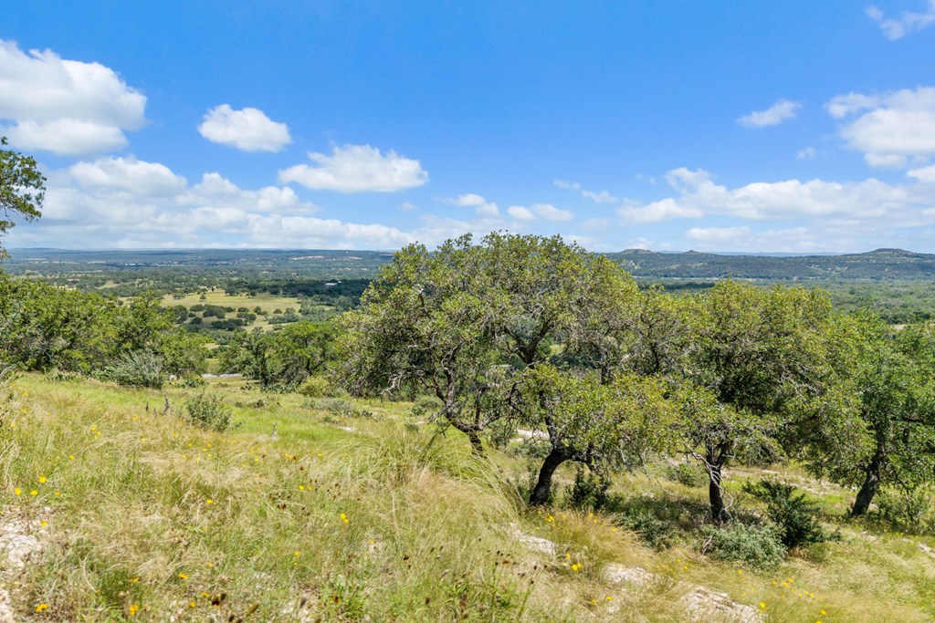 Tbd Kendalia Rd Property Photo 12