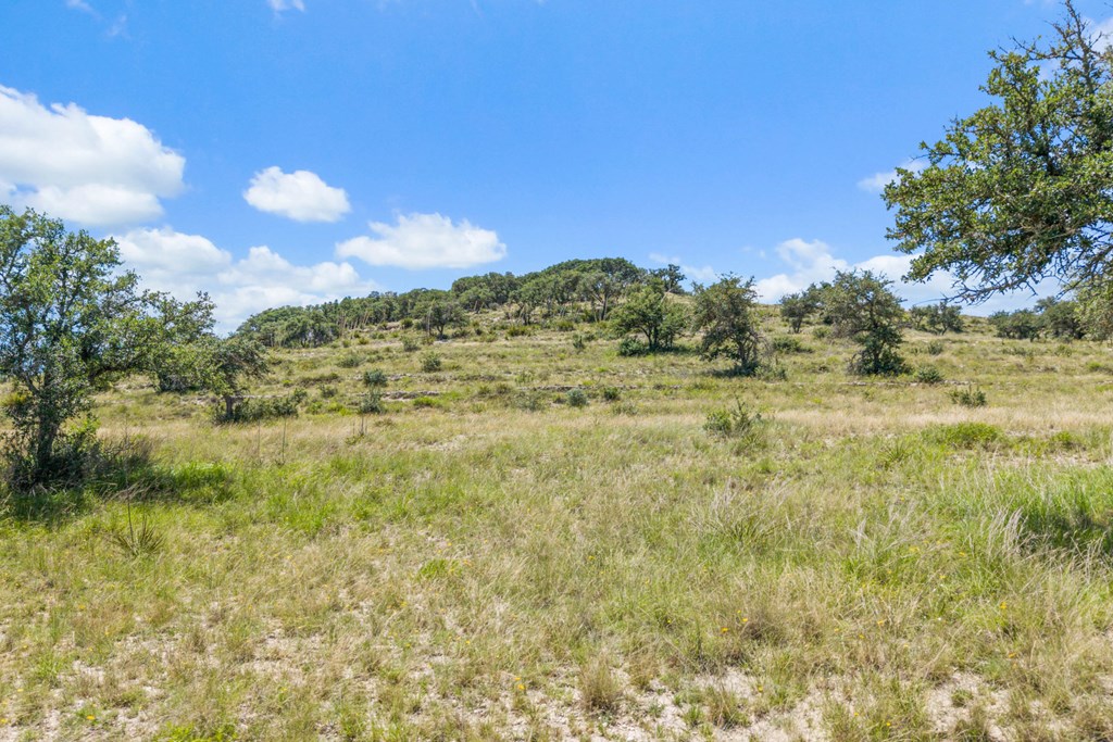 Tbd Kendalia Rd Property Photo 13