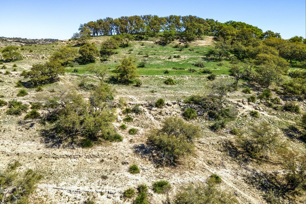 Tbd Kendalia Rd Property Photo 22