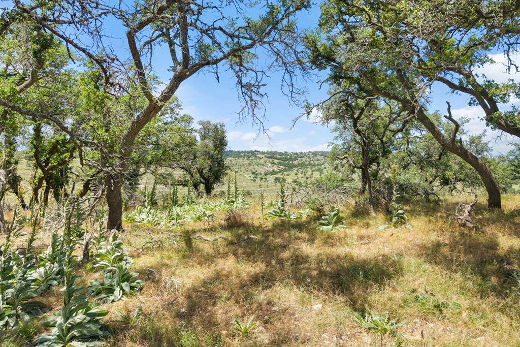 Tbd Kendalia Rd Property Photo 23