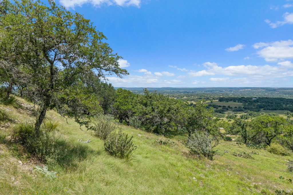 Tbd Kendalia Rd Property Photo 37