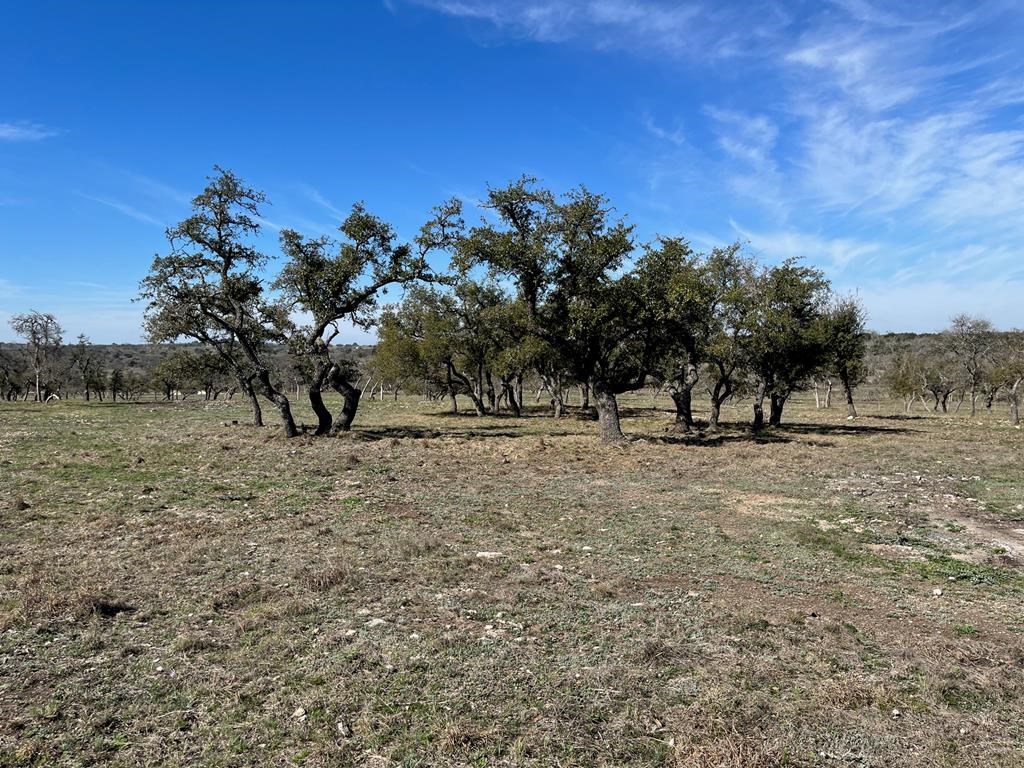 Lot 6 Jung Rd # 6 Property Photo 2