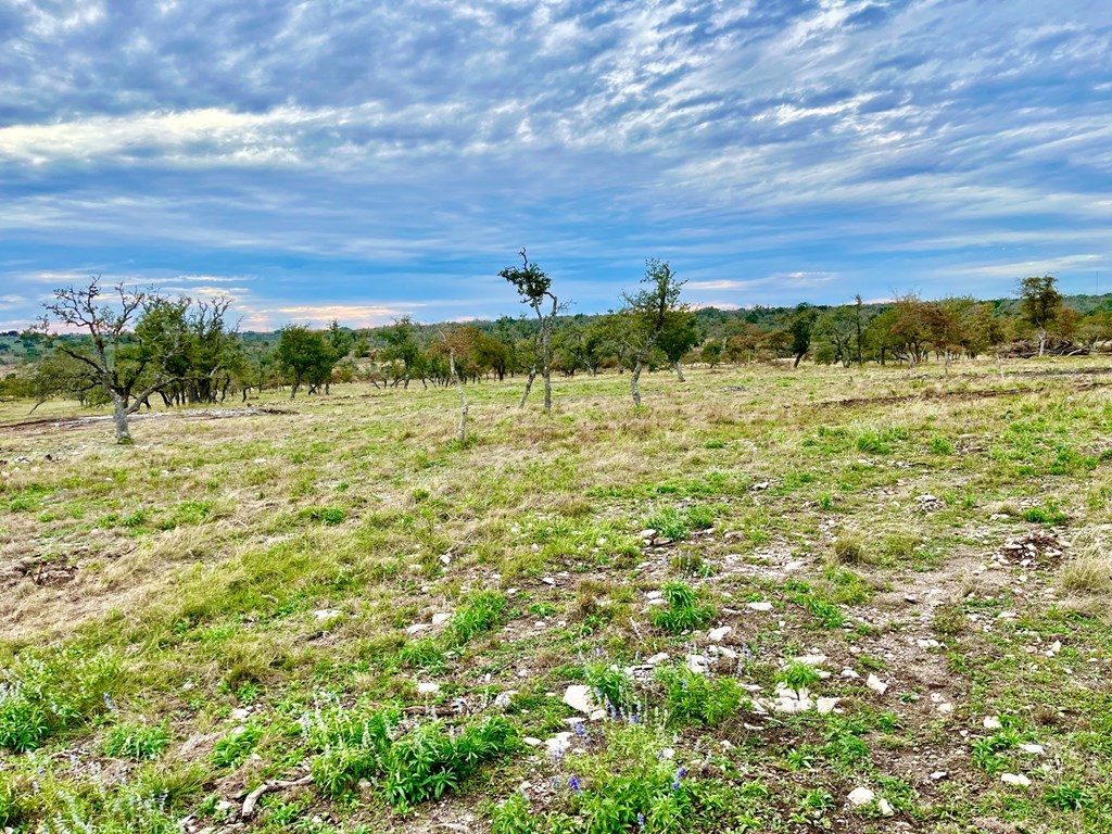 Lot 6 Jung Rd # 6 Property Photo 3