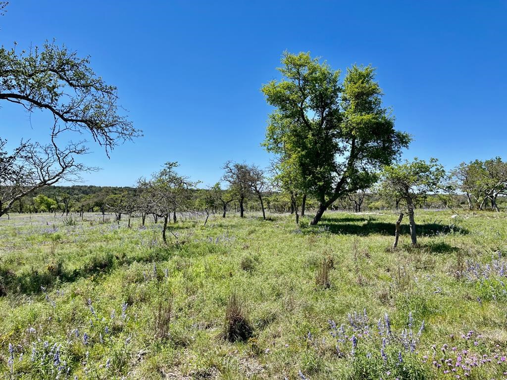Lot 6 Jung Rd # 6 Property Photo 6
