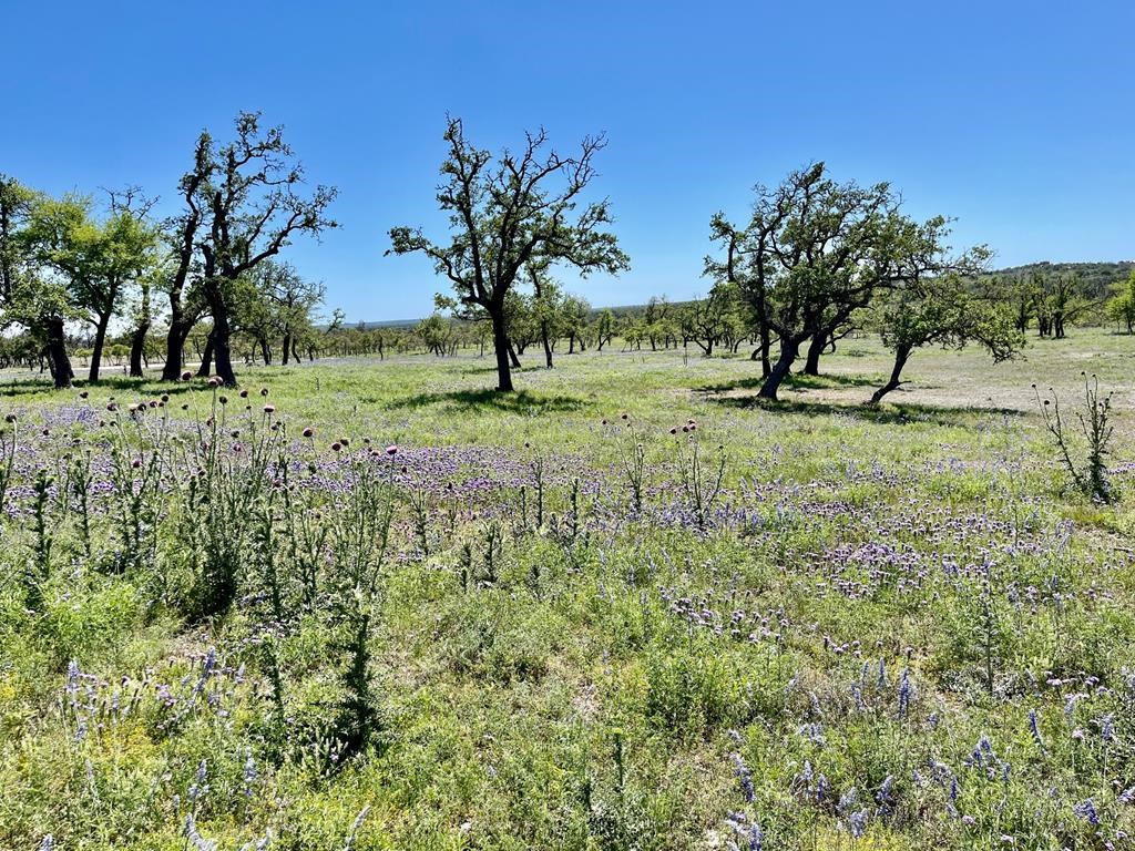 Lot 6 Jung Rd # 6 Property Photo 7
