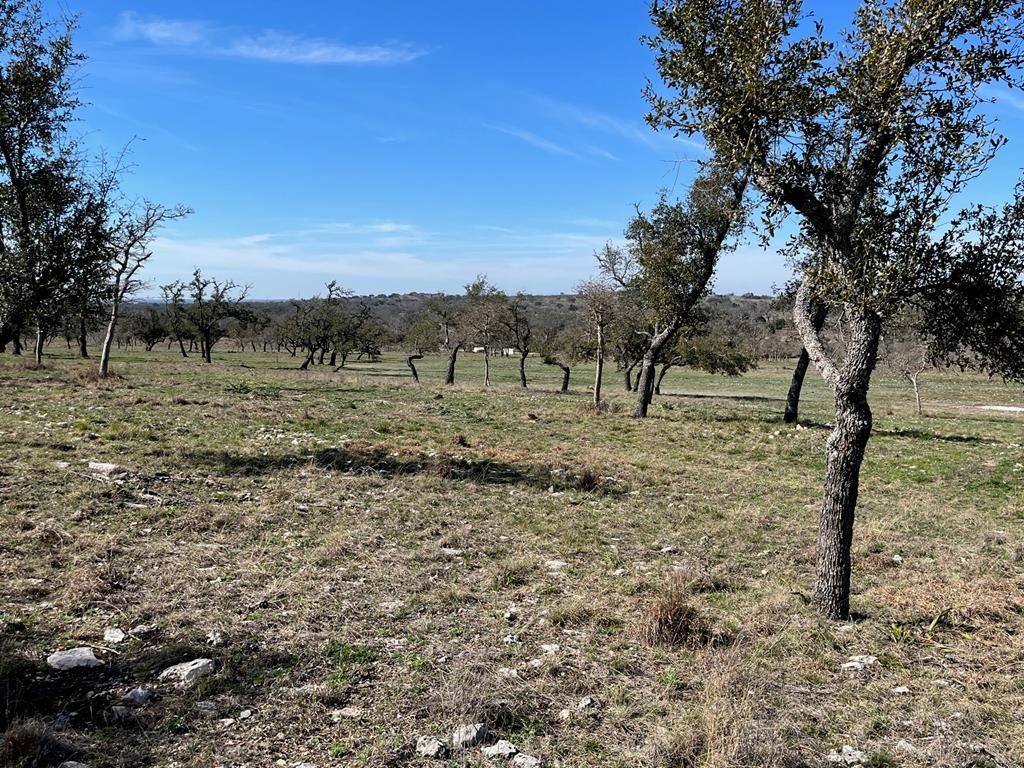 Lot 6 Jung Rd # 6 Property Photo 10