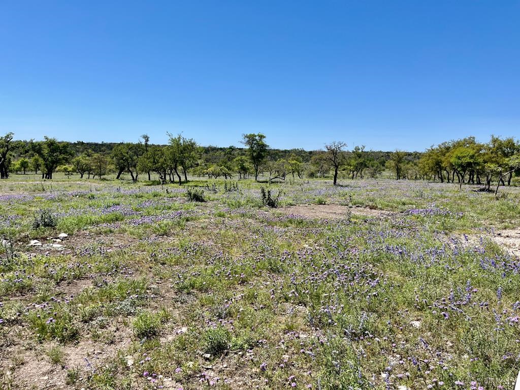 Lot 6 Jung Rd # 6 Property Photo 11