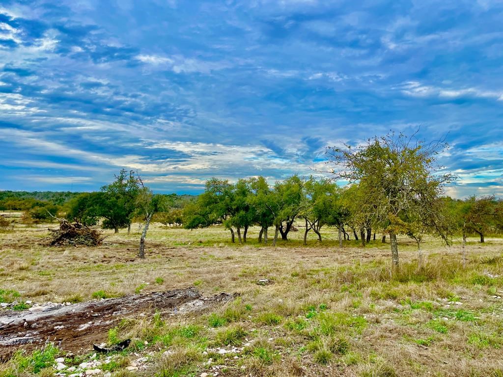 Lot 6 Jung Rd # 6 Property Photo 12
