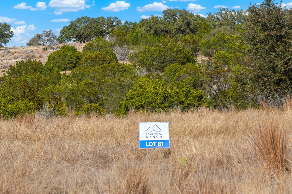 Lot 81 Firsching Rd Property Photo 10