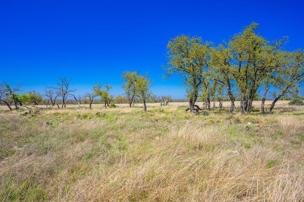 Lot 114 Stock Pond Dr # 114 Property Photo 1