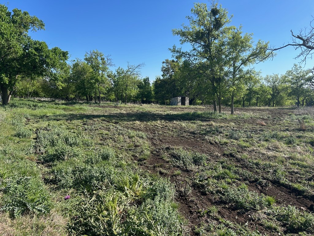 242 Property Photo 2