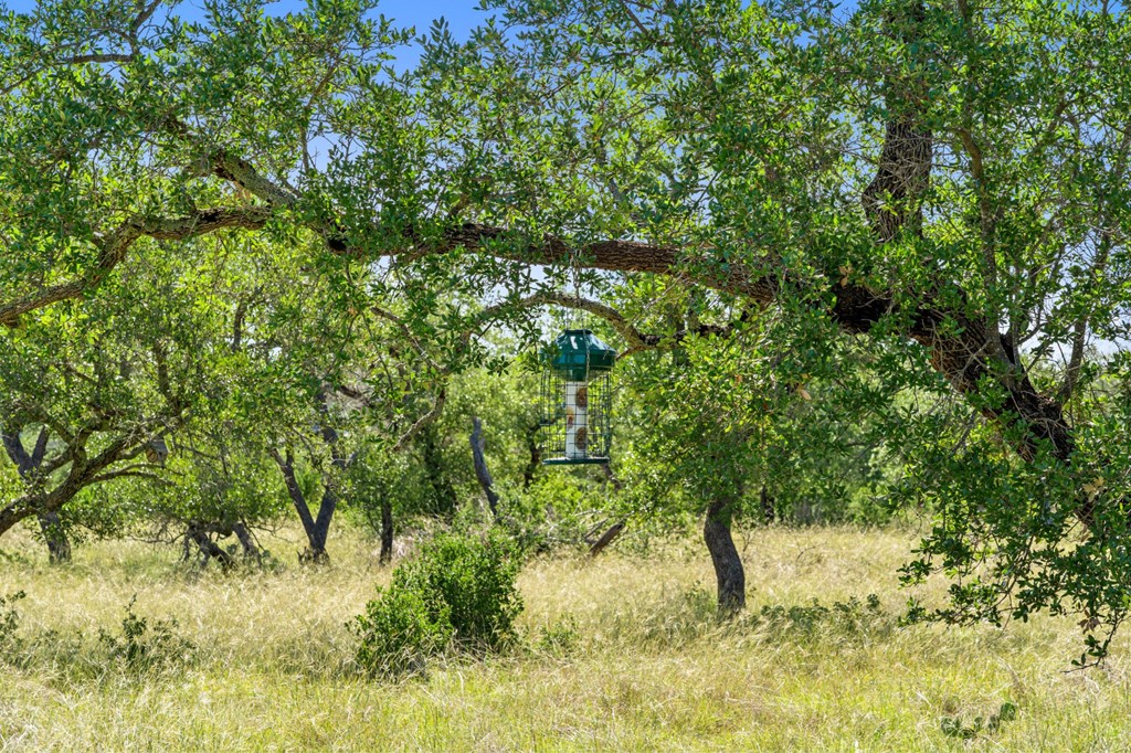 620 Rio Vista Rd Property Photo 15