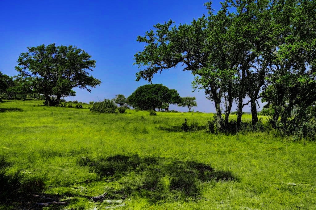 Lot 57 Red Stag Ln Property Photo 3