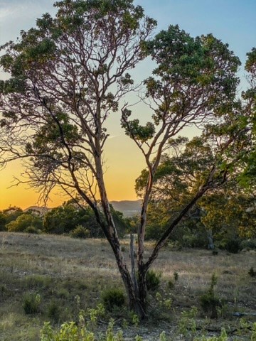 Lot 57 Red Stag Ln Property Photo 7