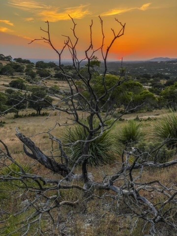 Lot 57 Red Stag Ln Property Photo 8