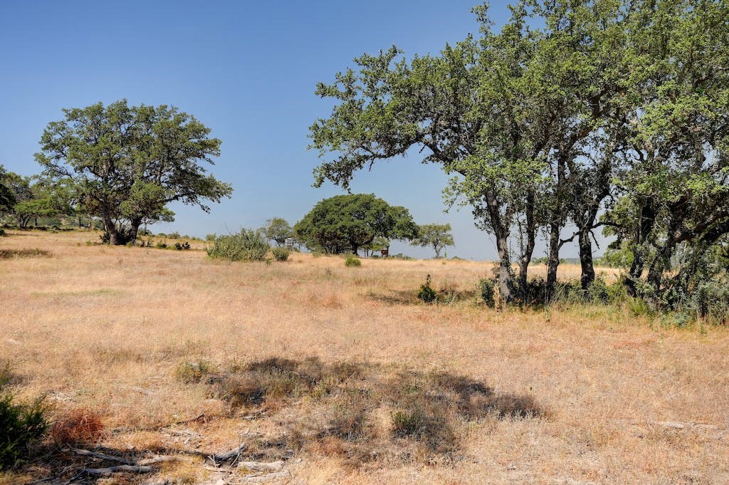 Lot 57 Red Stag Ln Property Photo 17
