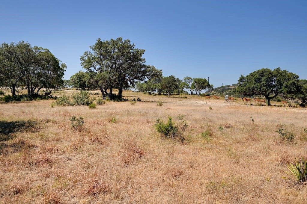 Lot 57 Red Stag Ln Property Photo 18