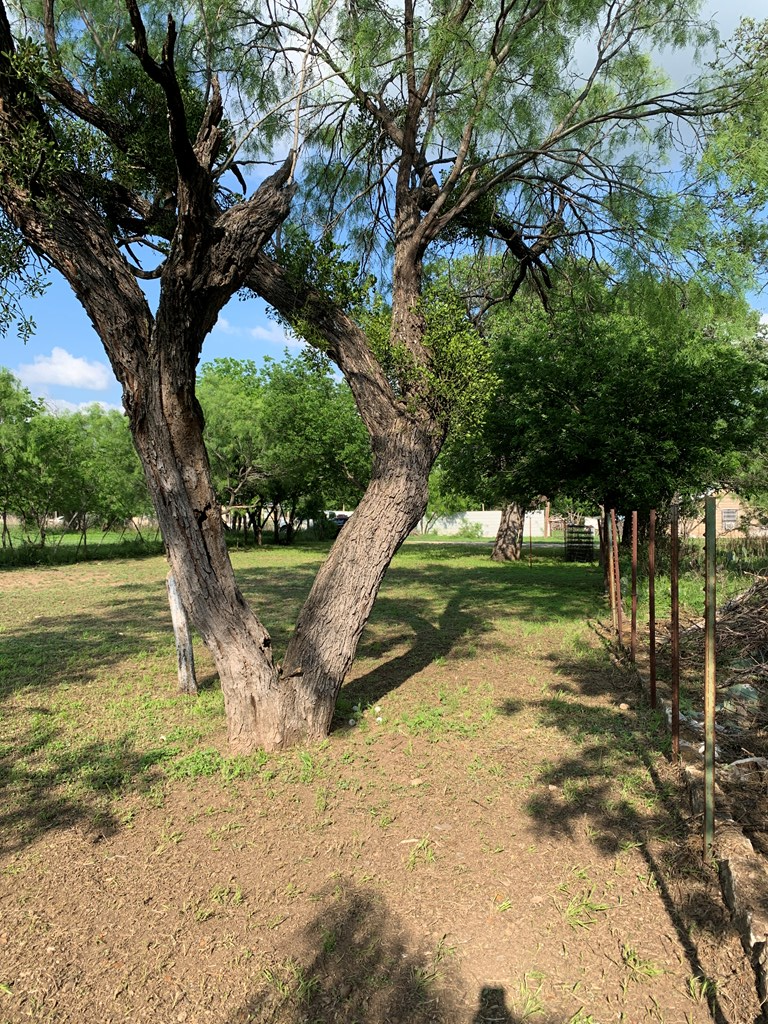 1308 S Melville Property Photo 14