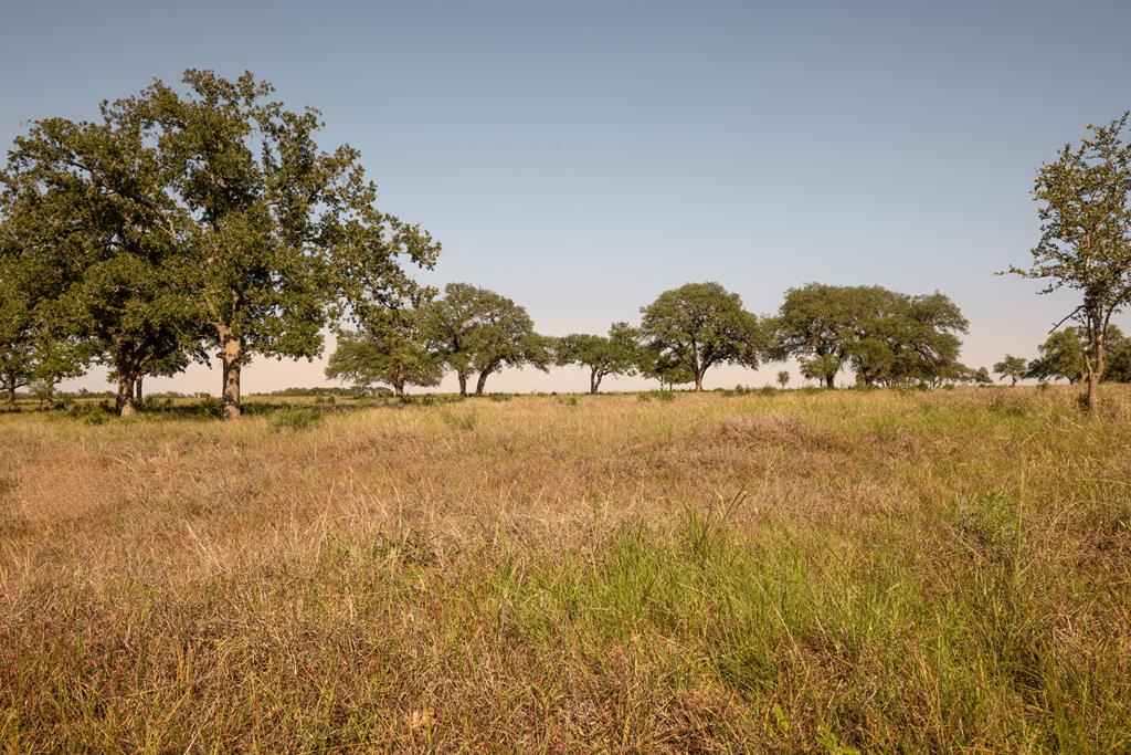 365 Gipson Road Property Photo 16