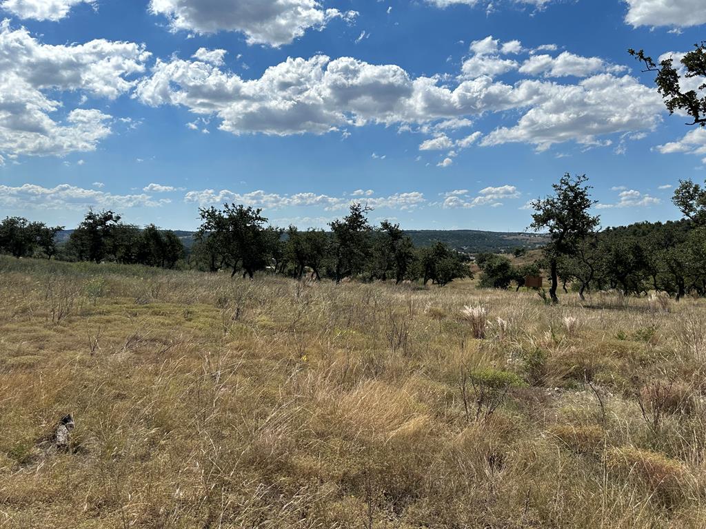 1058 Jacob Rd Property Photo 8