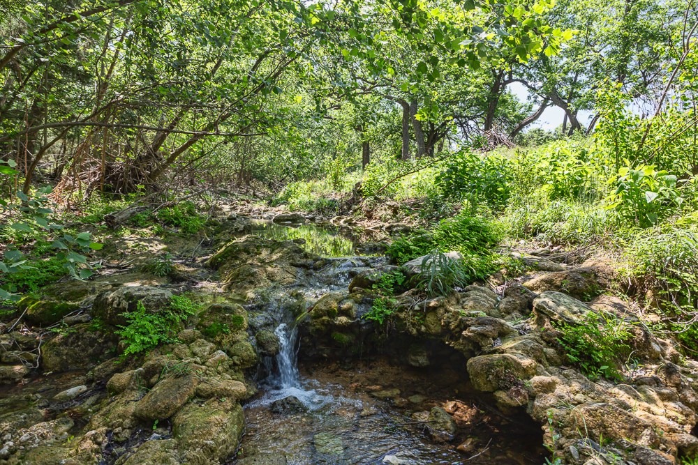 127 El Nopal Dr Property Photo 4