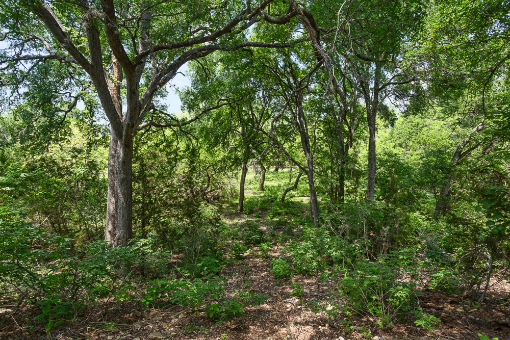 127 El Nopal Dr Property Photo 8