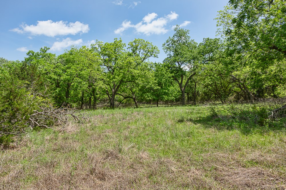 127 El Nopal Dr Property Photo 11