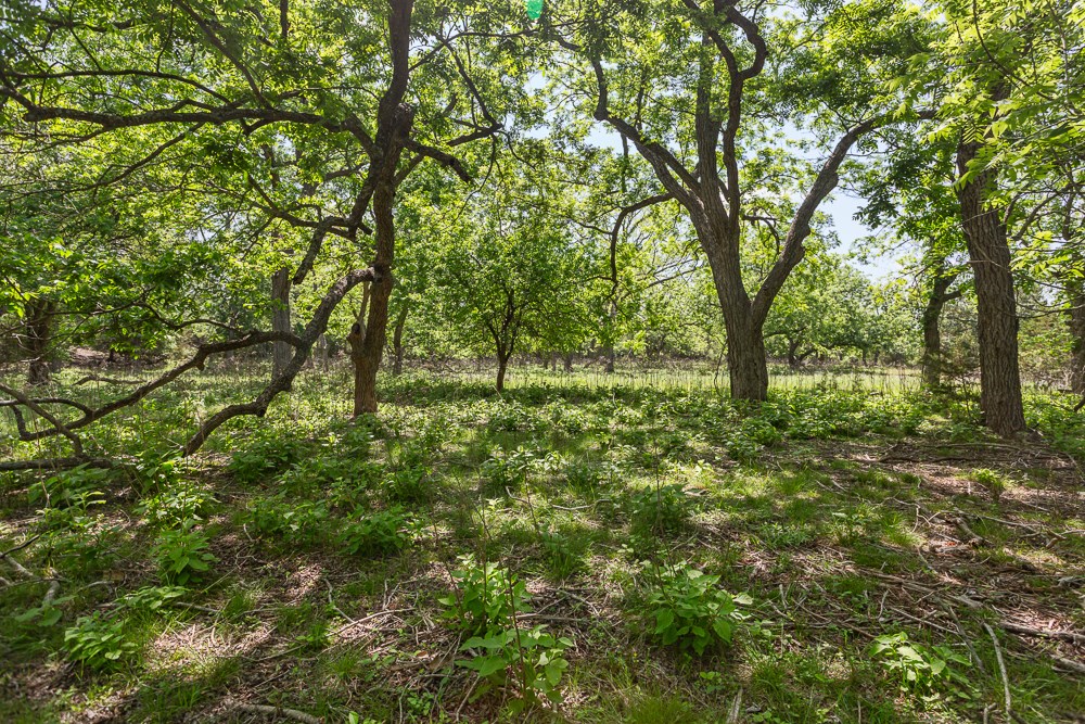 127 El Nopal Dr Property Photo 12