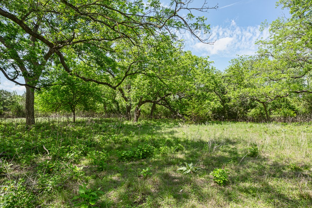 127 El Nopal Dr Property Photo 13