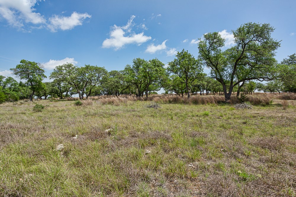 127 El Nopal Dr Property Photo 15