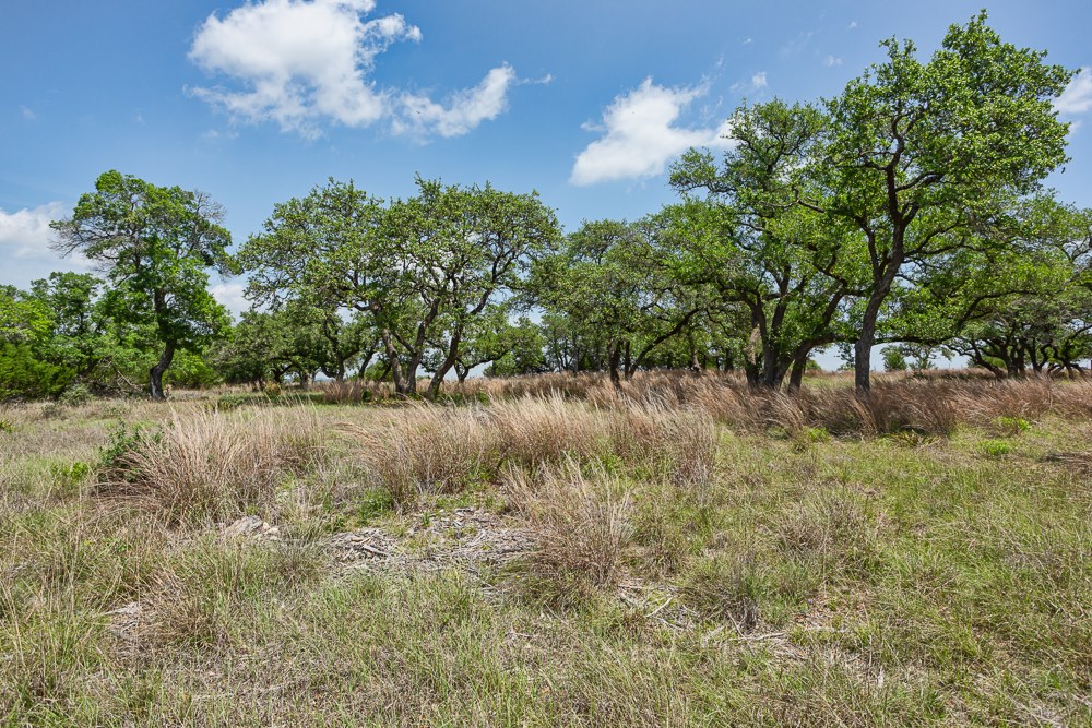 127 El Nopal Dr Property Photo 16