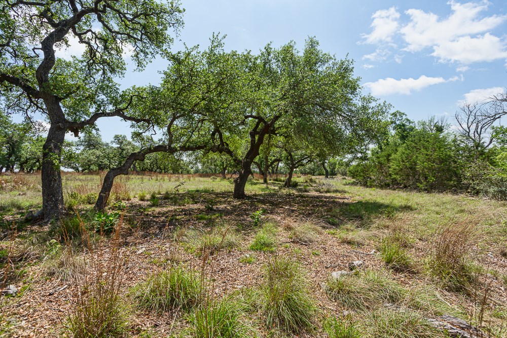 127 El Nopal Dr Property Photo 19