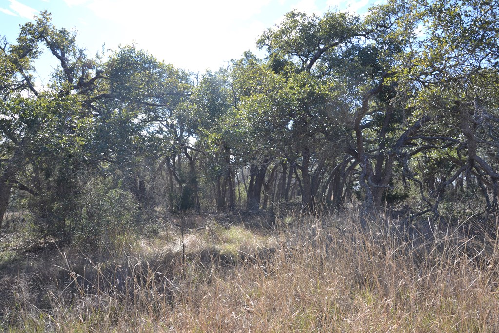 1152 Duderstadt Rd Property Photo 8