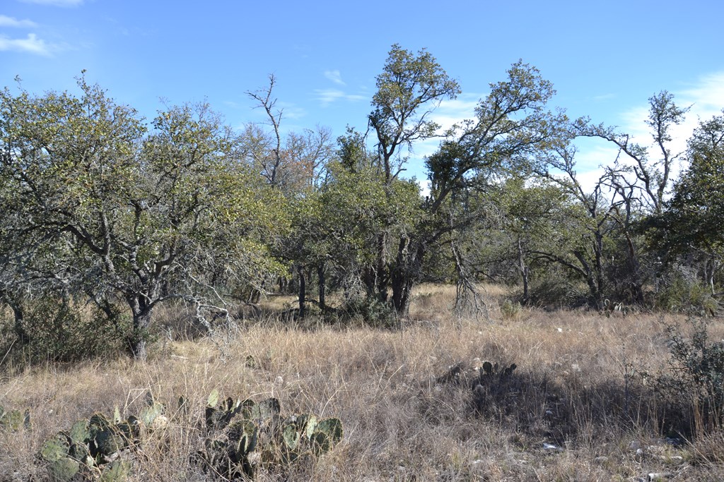 1152 Duderstadt Rd Property Photo 13