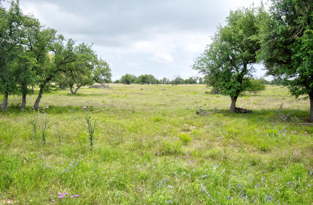 Lot 106 Oryx View Dr # 106 Property Photo 1