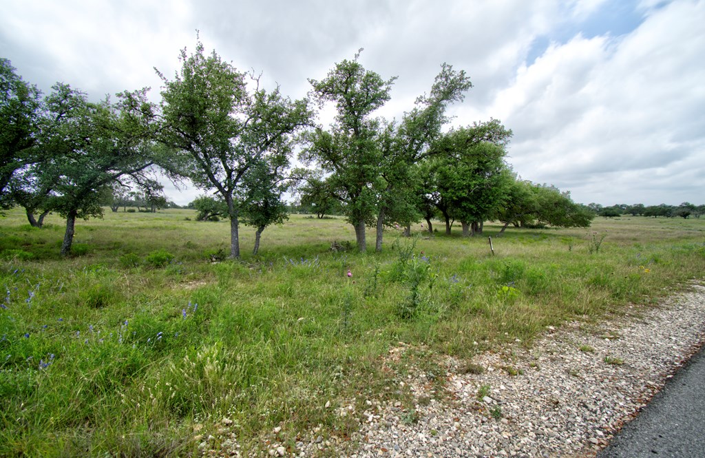 Lot 106 Oryx View Dr # 106 Property Photo 2