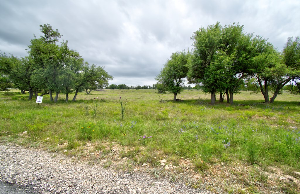 Lot 106 Oryx View Dr # 106 Property Photo 3