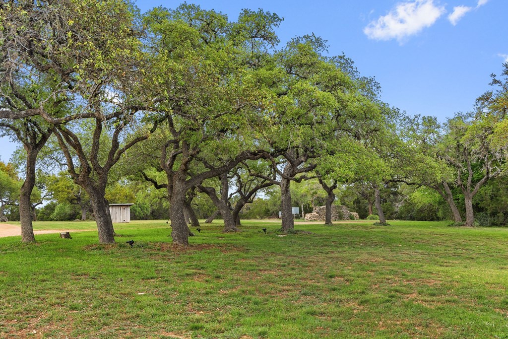 7503 E Us Hwy 290 Property Photo 26