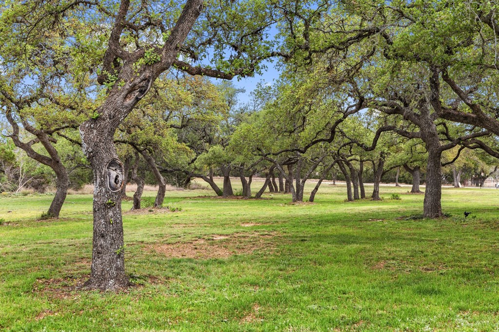 7503 E Us Hwy 290 Property Photo 27